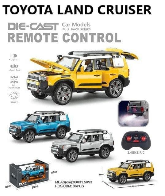 Exqcuisite LAND CUISER REMOTE